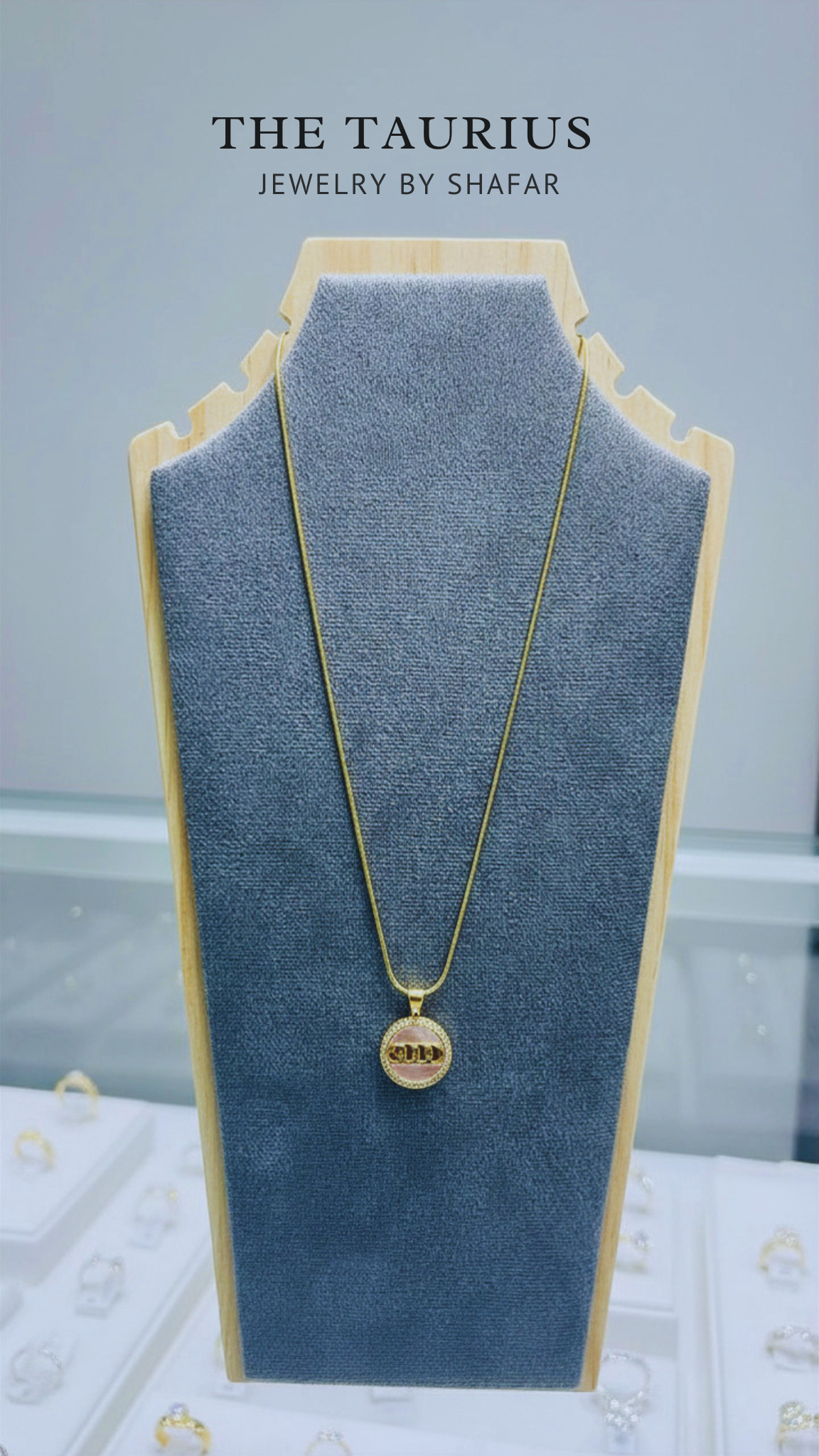 Diamond Halo Coin Pendant Necklace