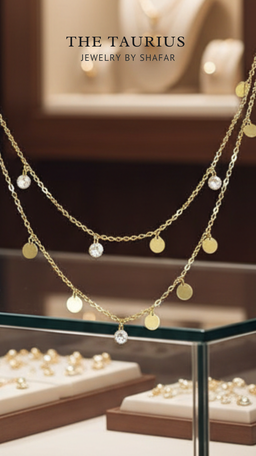 Double Layer Coin & Diamond Drop Necklace