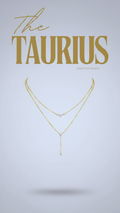 American Diamond Lariat Drop Layered Necklace