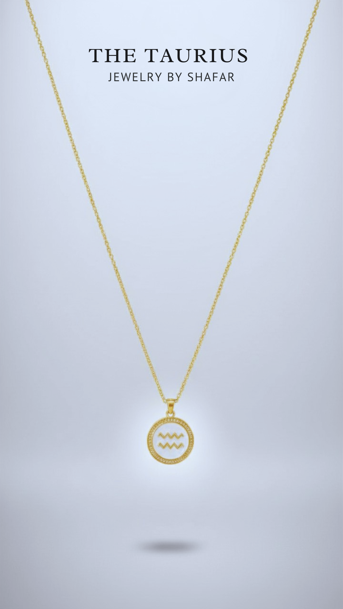 Gold Aquarius Zodiac Coin Pendant Necklace